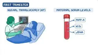 First Trimester Screening