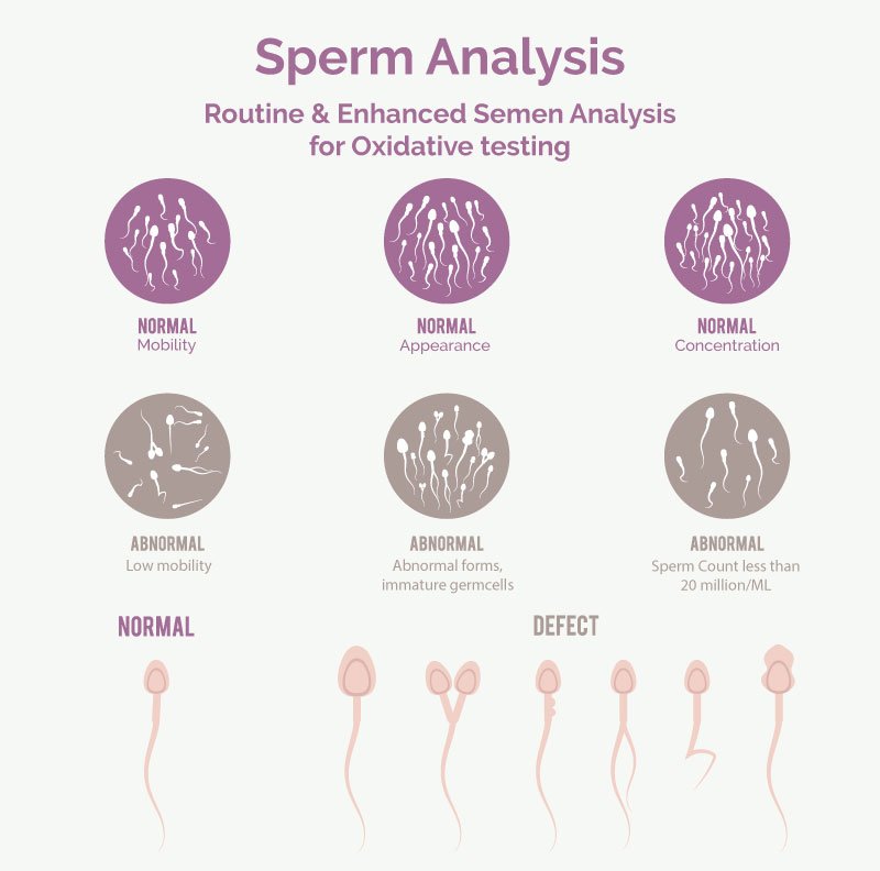 Semen Analysis